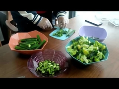 家用 キャンディー 果物 野菜 小型冷凍乾燥機 販売中