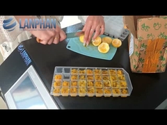 家庭 掃除 凍結 ドライヤー 果物 冷凍器具