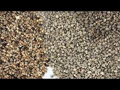 米選別機 コーヒー豆 米穀粒 色選別機 小麦 自動選別機