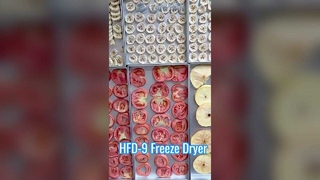 業務用冷凍乾燥機 12kg 食品保存用