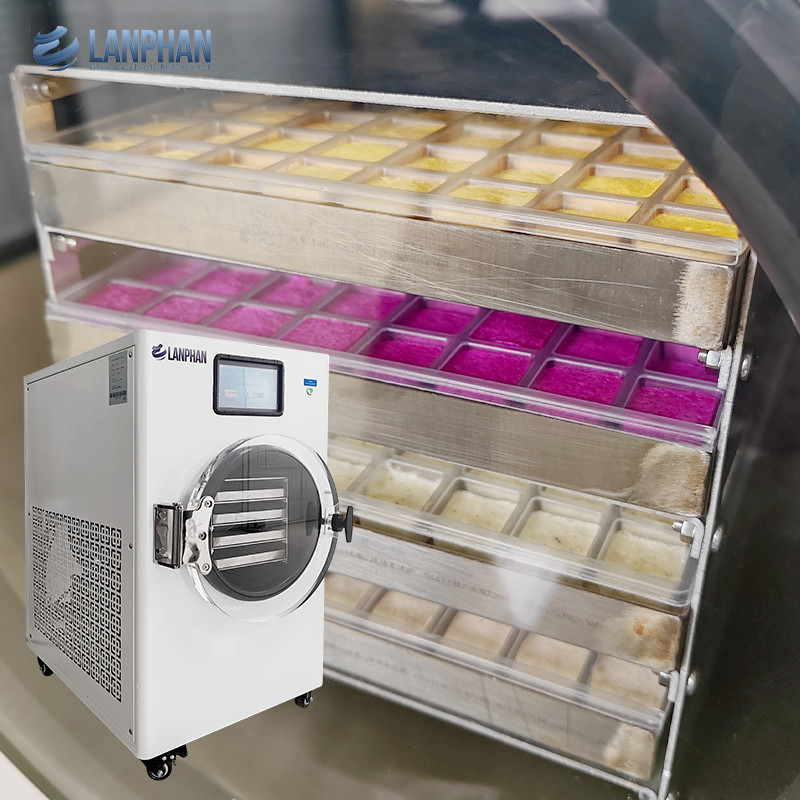 掃除冷凍機 家庭用冷凍乾燥機 油霧フィルター付き食品乾燥設備