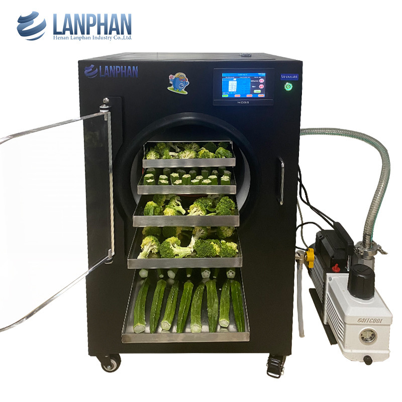 快速冷凍乾燥機 冷凍乾燥機 冷凍乾燥機 乾燥菓子 食品 液体 真空冷凍乾燥設備
