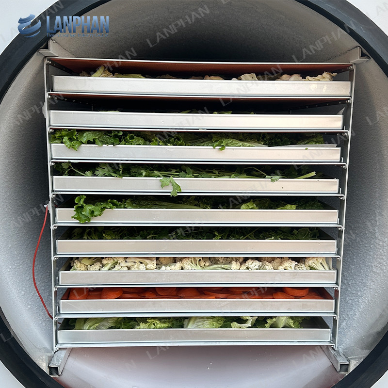 ランファンの自動大型冷凍乾燥機 5m2 フルーツ・野菜用冷凍乾燥機