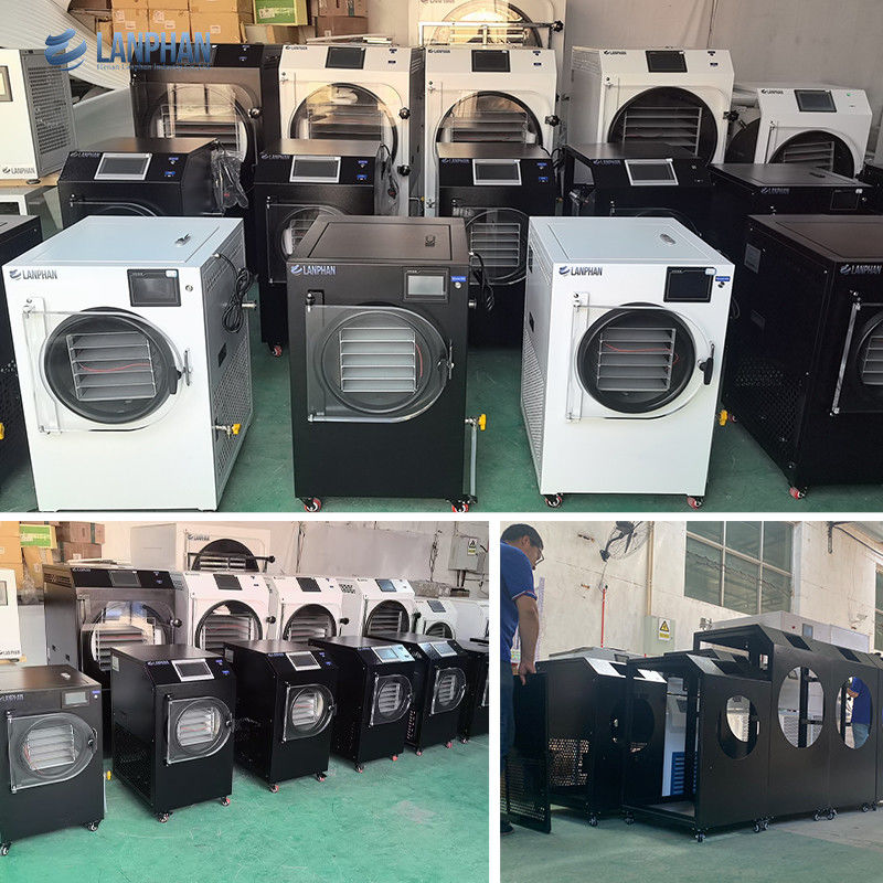 4m2 14 大きなトレイ 掃除用食品 果物乾燥機 価格 商業用食品 掃除用冷凍乾燥機