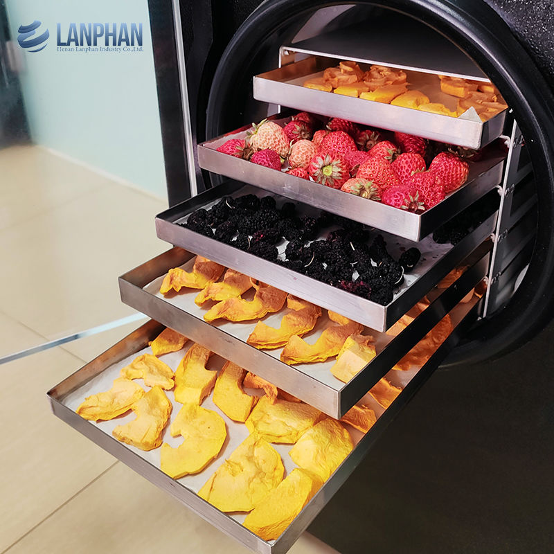 真空冷凍乾燥機 肉用冷凍乾燥機 ペット用食品 冷凍果物乾燥機