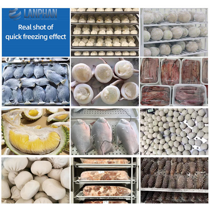 -45℃ 5 Trays Food Blast Chiller And Shock Freezer Blast Freezer For Meat Chicken Dough