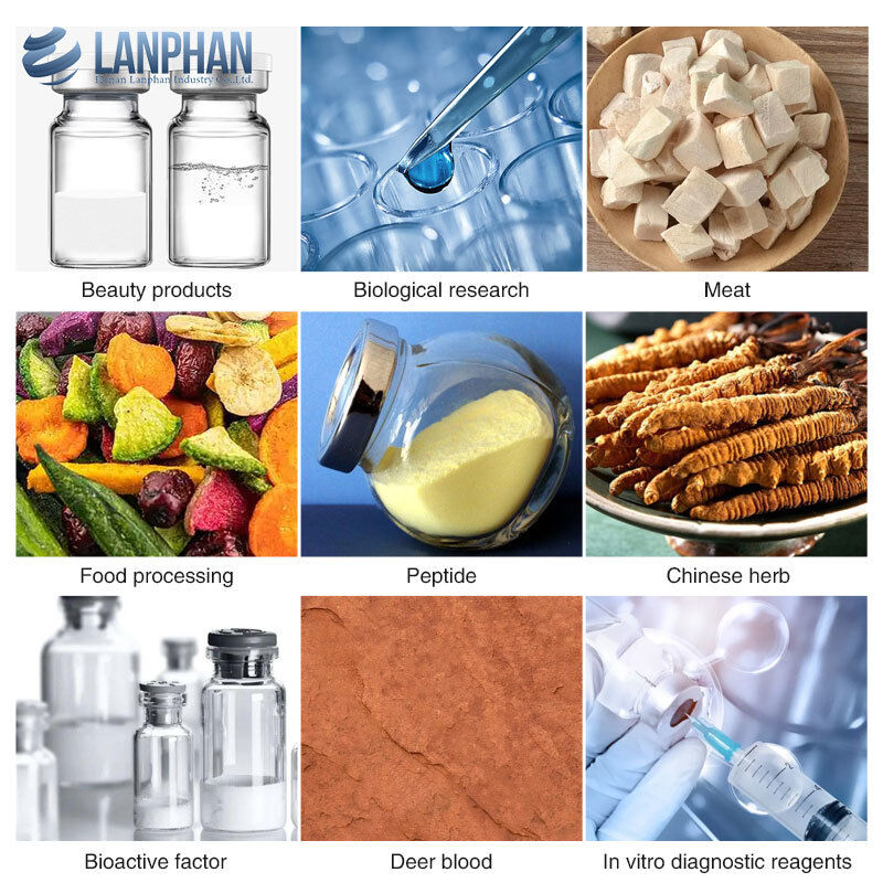 8kg/ 批量 工業実験室冷凍乾燥機 微生物製品