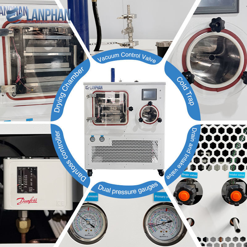 -75°C カスタマイズされた実験室冷凍乾燥機 3トレイ 薬剤冷凍乾燥機 真空ポンプ