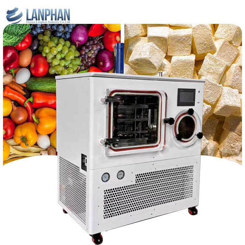 8kg/ 批量 工業実験室冷凍乾燥機 微生物製品