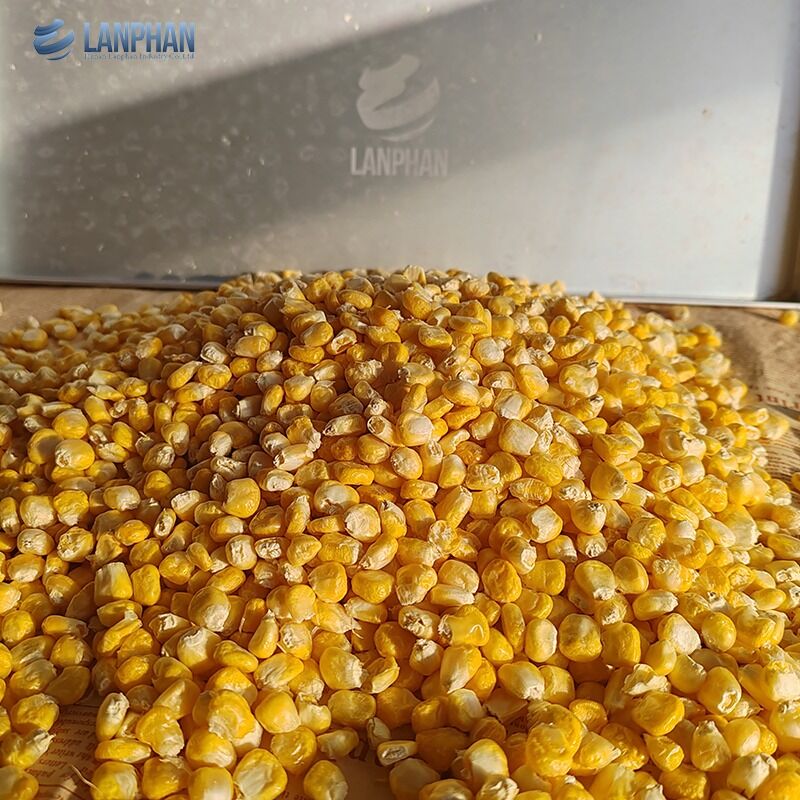 4-6KG 自動 小型食品 果物 肉 掃除 冷凍乾燥機 家用