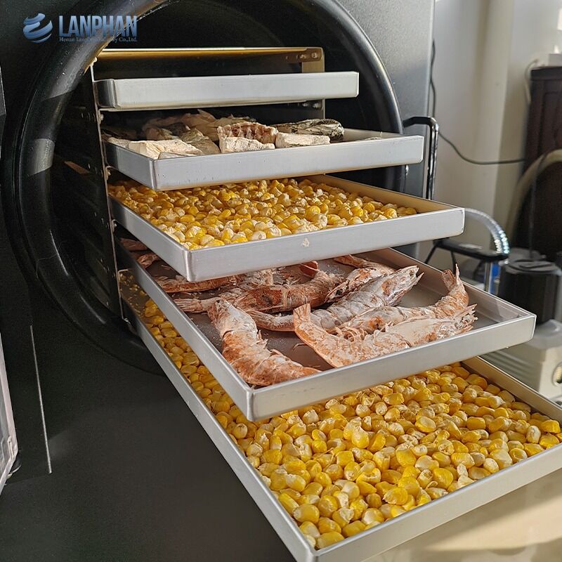 キャンディー食品用オイルポンプ付き5段小型ステンレス鋼凍結乾燥機