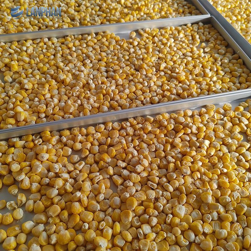 キャンディー食品用オイルポンプ付き5段小型ステンレス鋼凍結乾燥機