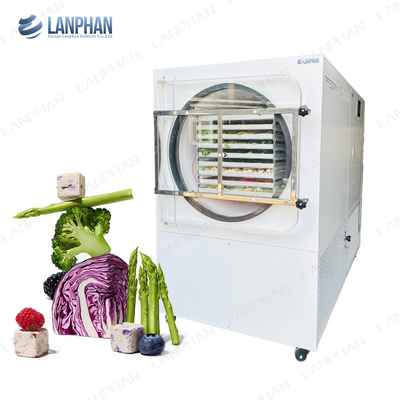 ランファンの自動大型冷凍乾燥機 5m2 フルーツ・野菜用冷凍乾燥機