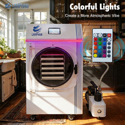 家庭用 保存 果物 野菜 肉 コンパクト 食品 冷蔵庫 乾燥機